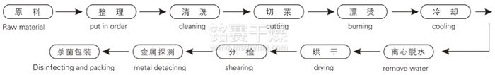 脫水蔬菜帶式干燥工藝流程